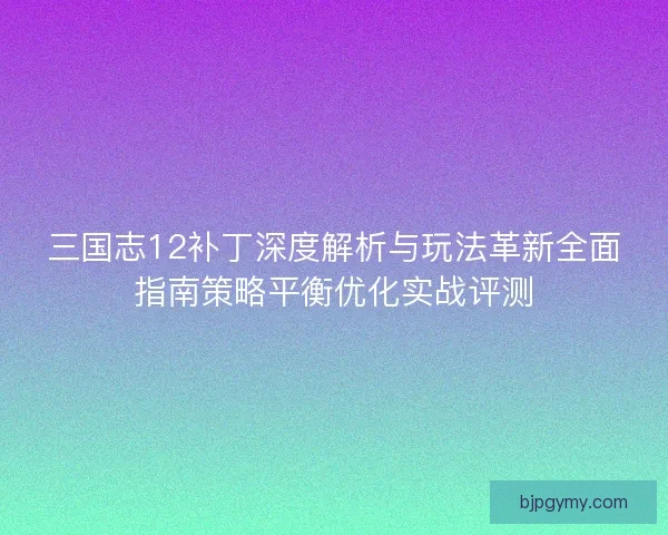 三国志12补丁深度解析与玩法革新全面指南策略平衡优化实战评测