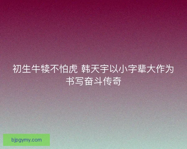 初生牛犊不怕虎 韩天宇以小字辈大作为书写奋斗传奇